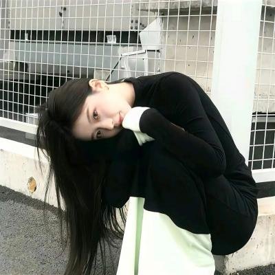 典范 封面